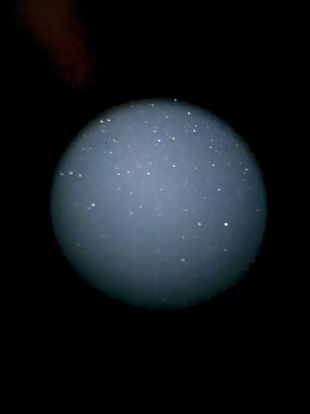 The best raw photo: the eyepiece's disc, about sixty stars, and moonlit sky