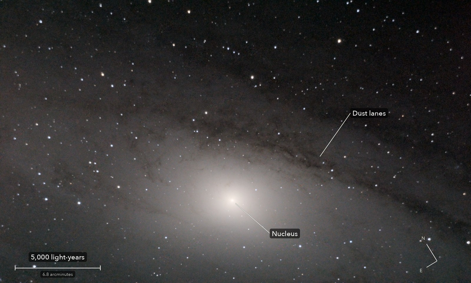 The heart of the Andromeda Galaxy, with its parts named, a scale bar and north marked