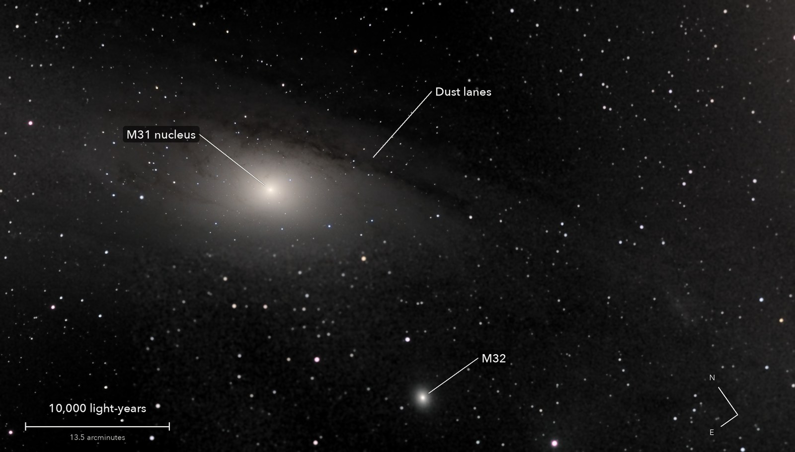 The Andromeda Galaxy: core, dust lanes and a companion, with its parts named, a scale bar and north marked