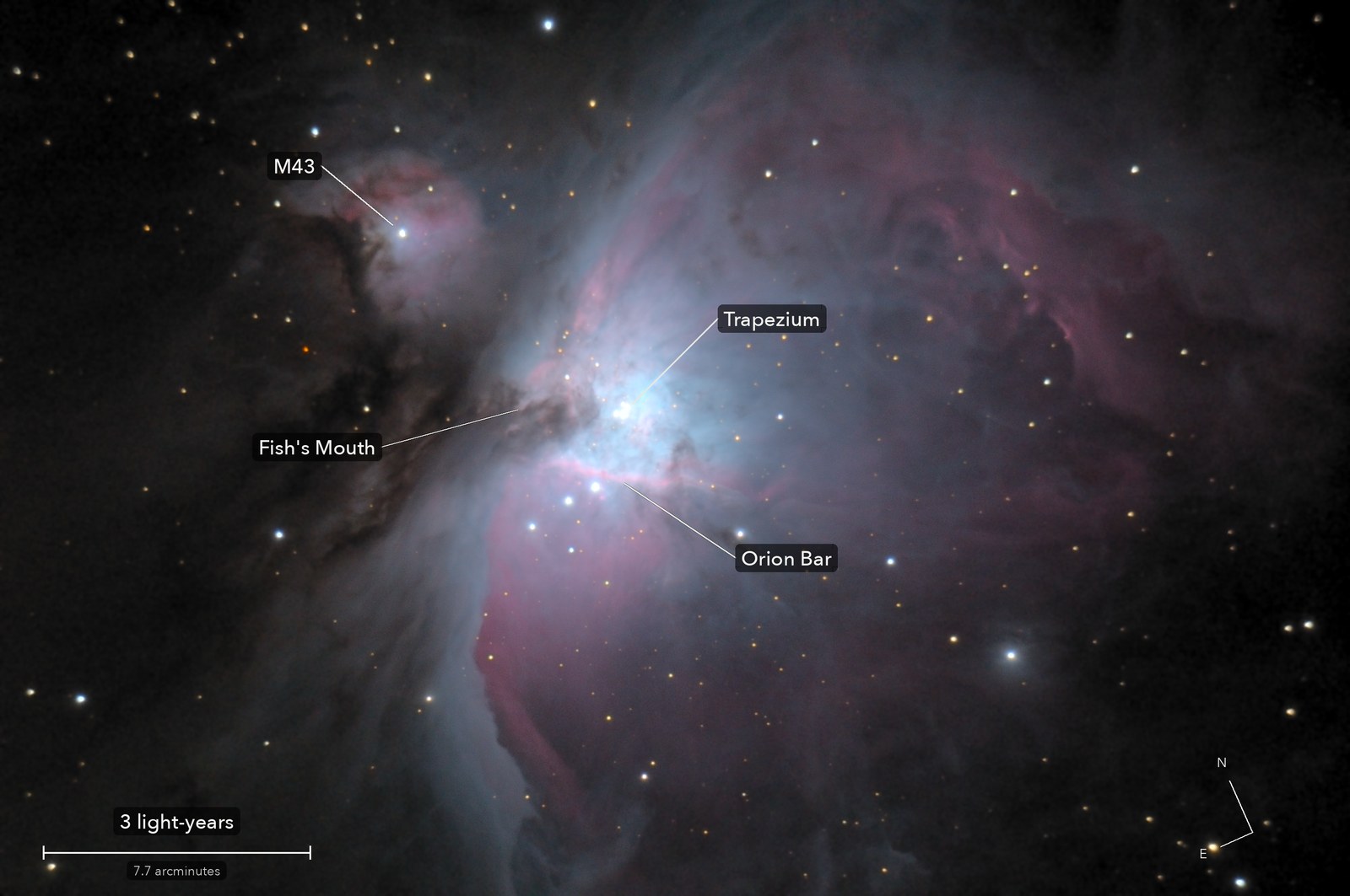 The Orion Nebula, with its parts named, a scale bar and north marked