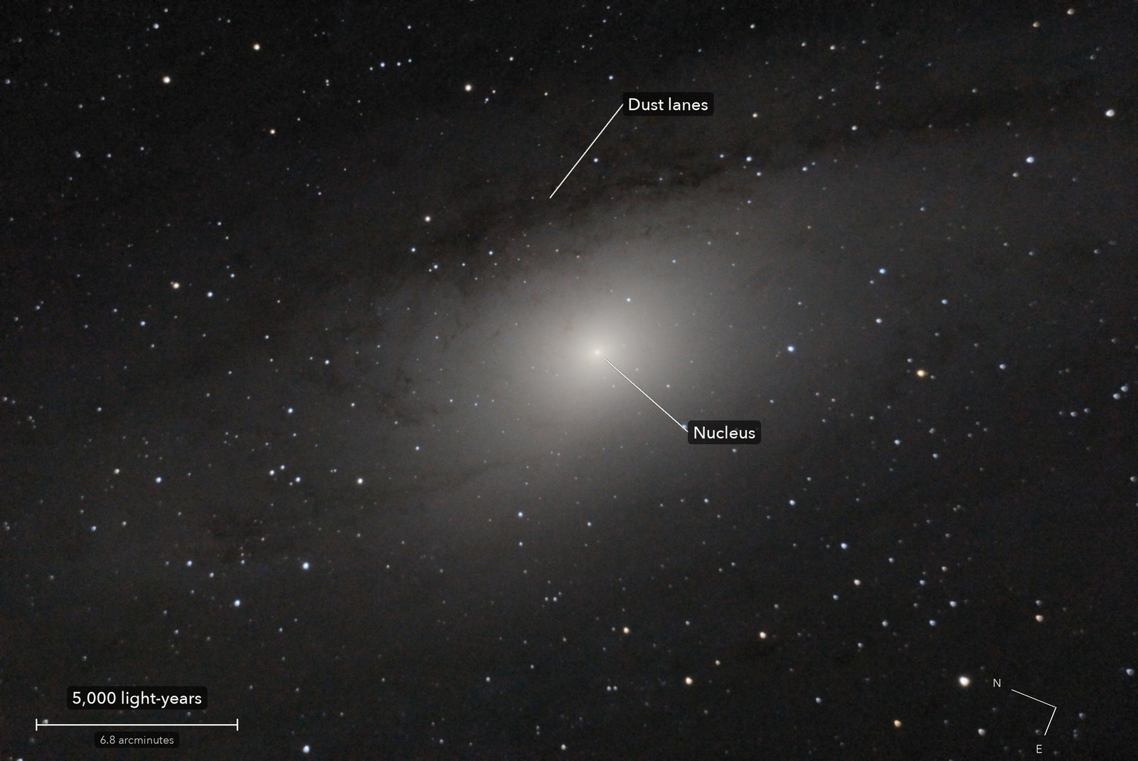 The core of the Andromeda Galaxy, with its parts named, a scale bar and north marked