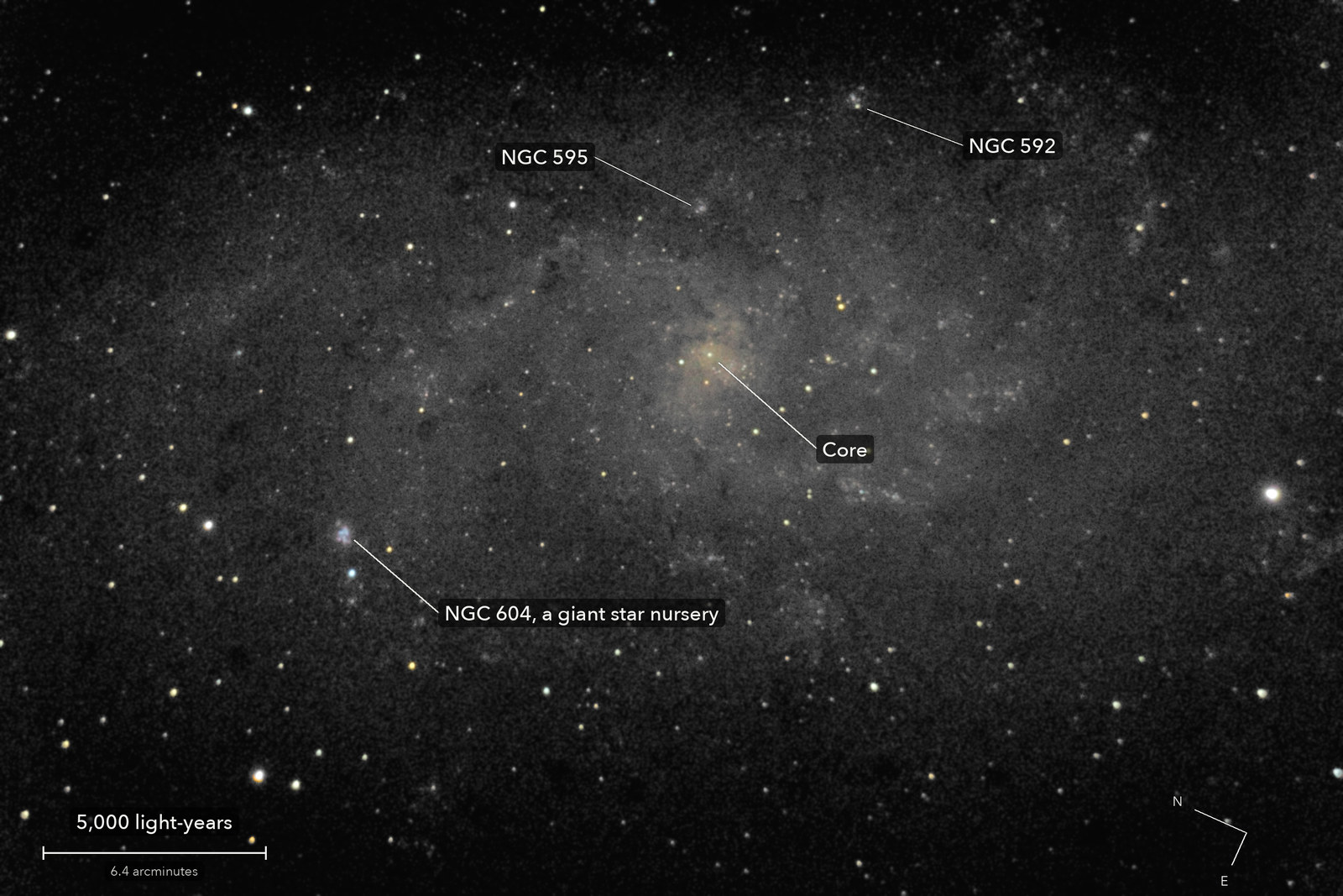 The Triangulum Galaxy, with its parts named, a scale bar and north marked