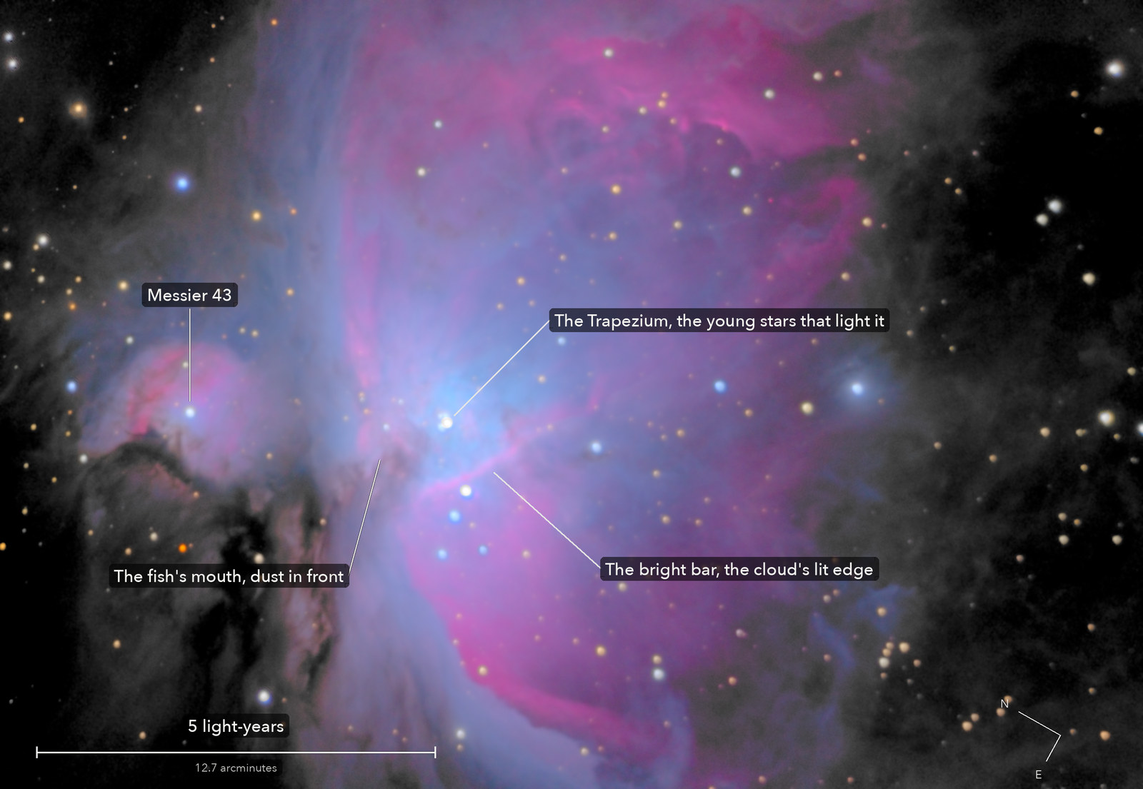 The Orion Nebula, with its parts named, a scale bar and north marked