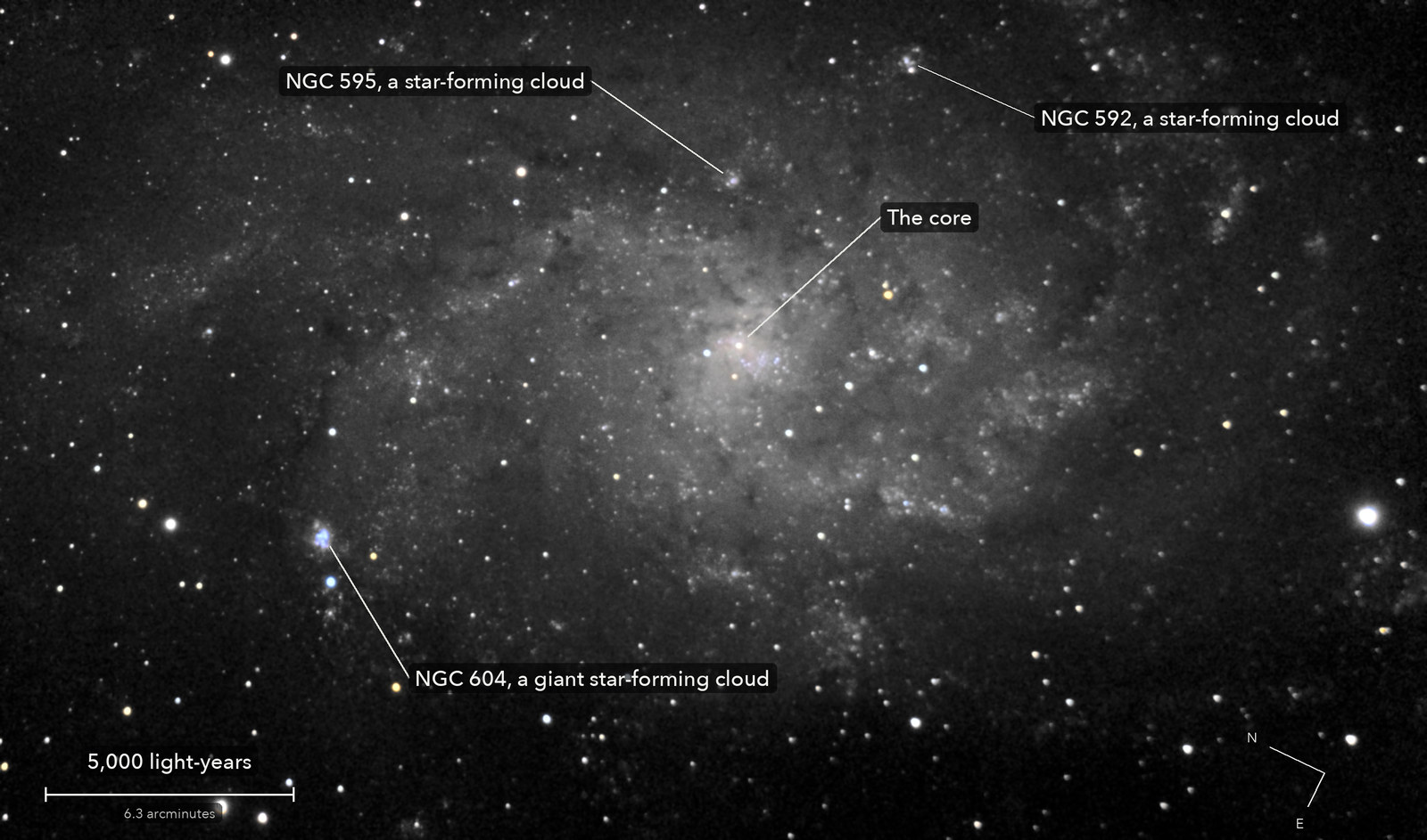 The Triangulum Galaxy, with its parts named, a scale bar and north marked